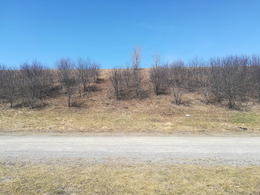 Carlington Park | 1640 Laperriere Ave, Ottawa, ON K1Z 5A6, Canada | Phone: (613) 580-2595