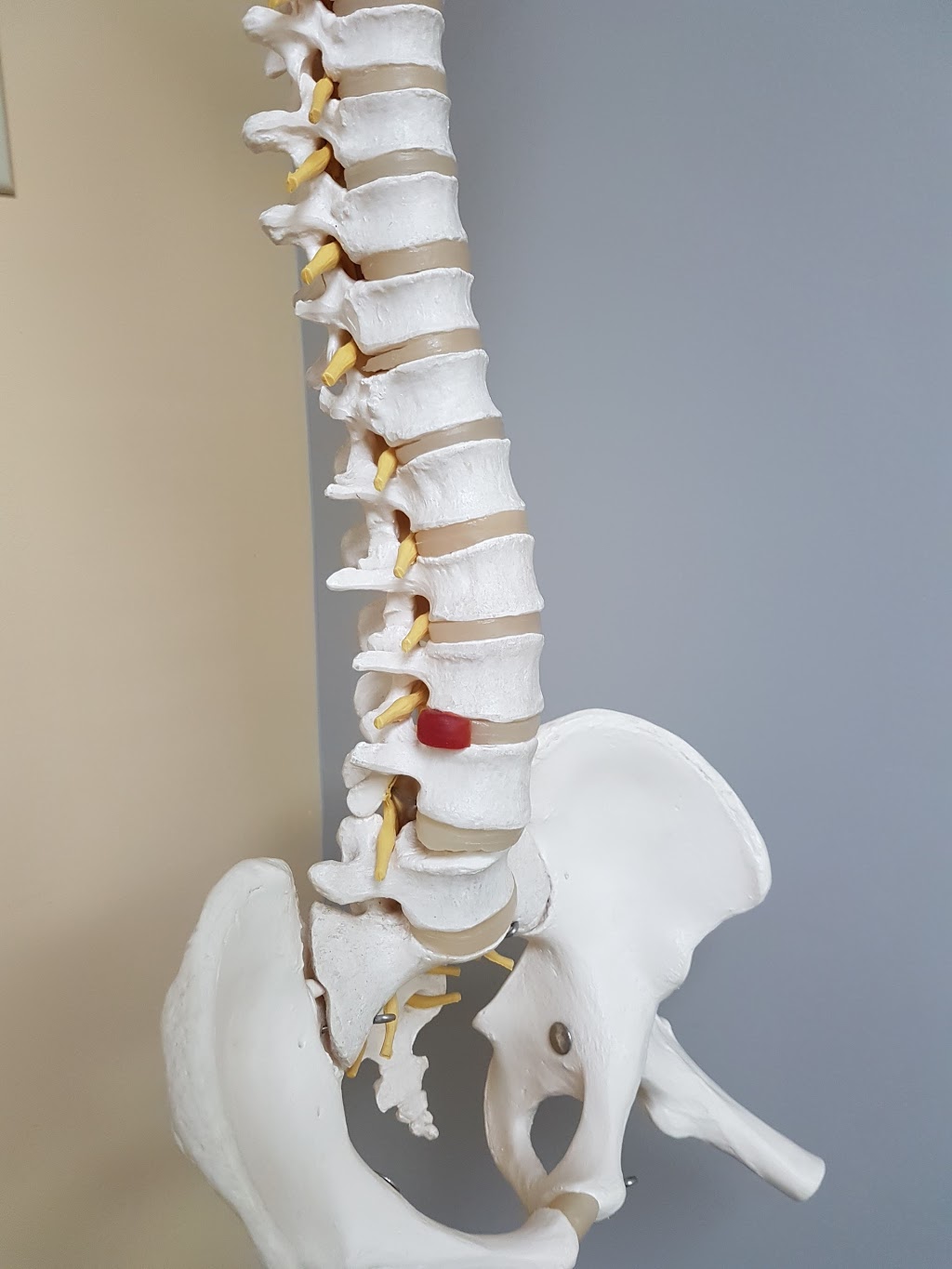 Cordick Chiropractic & Optimum Health Clinic | 48 Wilson St W Unit 3, Perth, ON K7H 2N4, Canada | Phone: (613) 267-6646