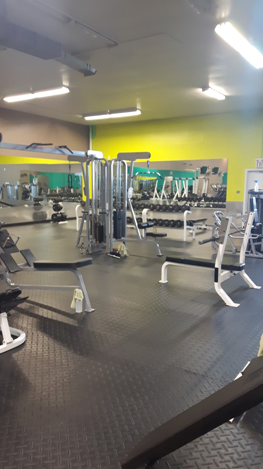 South Huron Fitness | 190 Thames Rd E, Exeter, ON N0M 1S3, Canada | Phone: (519) 235-4555