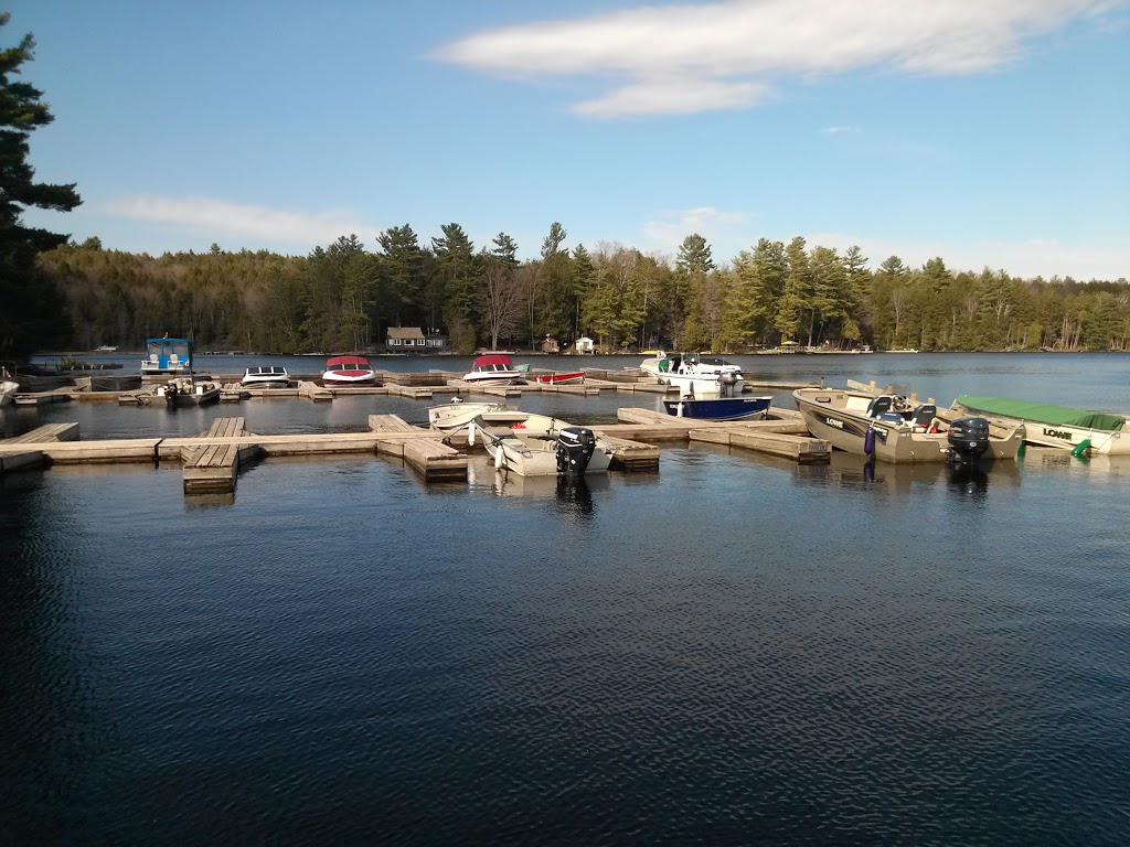 Catchacoma Marina | 4178 County 507 Rd, Buckhorn, ON K0L 1J0, Canada | Phone: (705) 657-3354