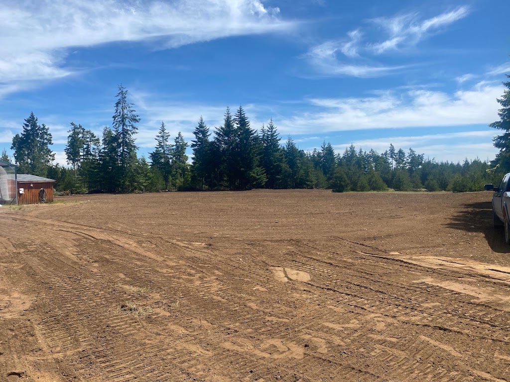 DB excavation | 3646 Denman Rd, Denman Island, BC V0R 1T0, Canada | Phone: (250) 465-1889