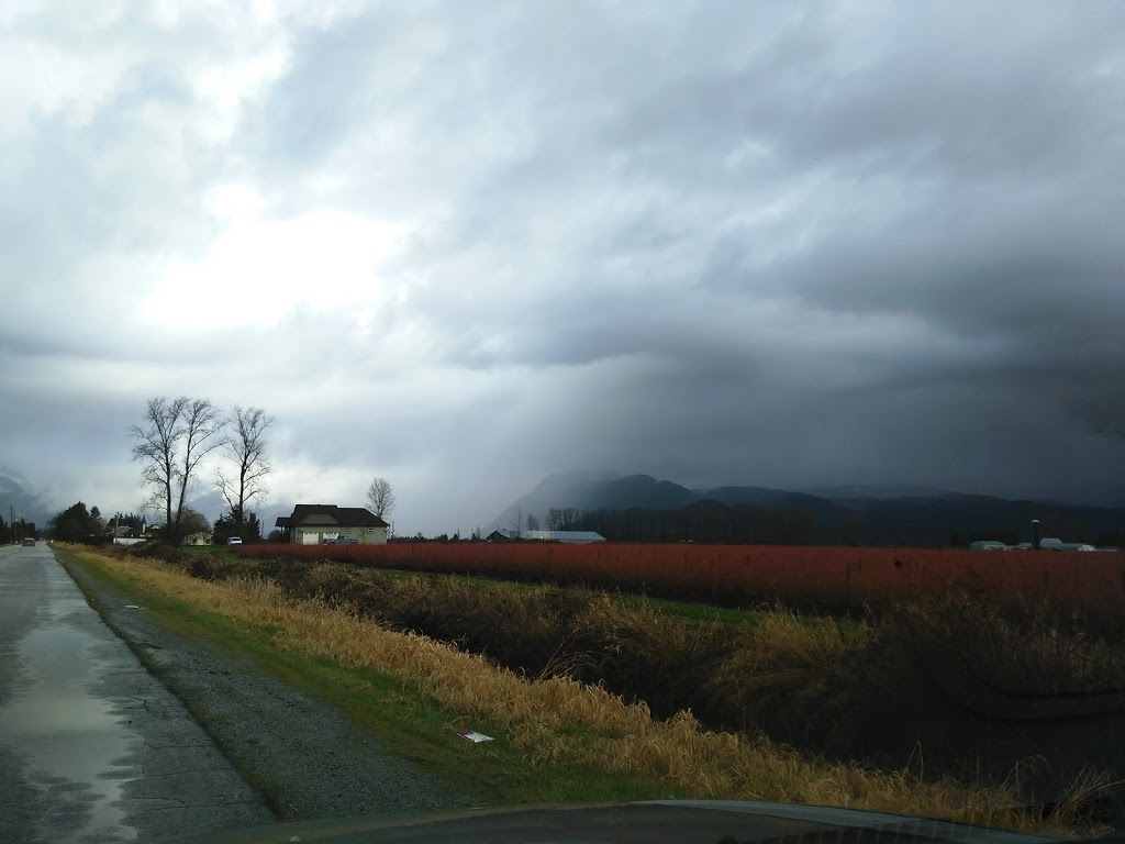 Dulay Brother Farms | 19809 Old Dewdney Trunk Rd, Pitt Meadows, BC V3Y 2R8, Canada | Phone: (604) 465-0820