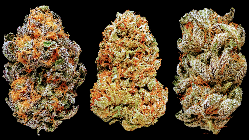 Krazy Kush | 80 Tweedsmuir Ave W, Chatham-Kent, ON N7M 2A4, Canada | Phone: (519) 607-1565