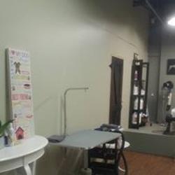 The Groom Meister | 55 Townline, Orangeville, ON L9W 1V5, Canada | Phone: (519) 941-3336