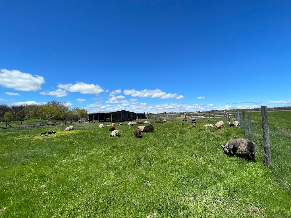 Lucky Stone Acres | 90 N Colonization Rd, Gimli, MB R0C 1B0, Canada | Phone: (204) 990-4670