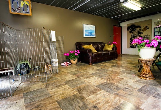 K-Lane Kennels | Box 172, Kronau, SK S0G 2T0, Canada | Phone: (306) 781-2774