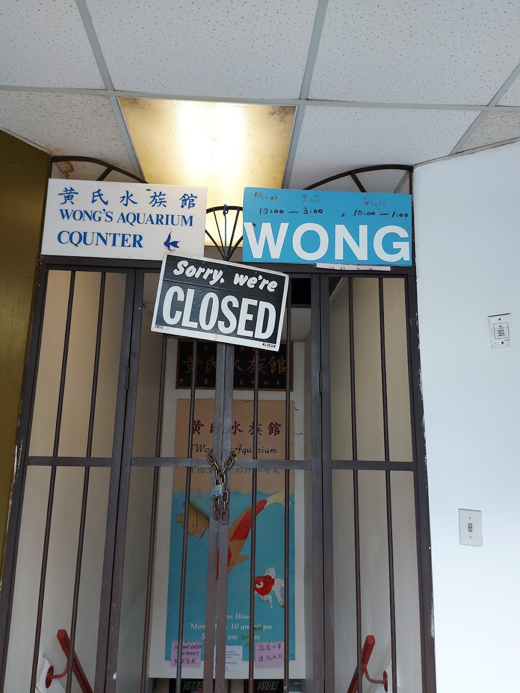 Wongs Aquarium | 590 Gerrard St E, Toronto, ON M4M 1Y3, Canada | Phone: (416) 461-5362