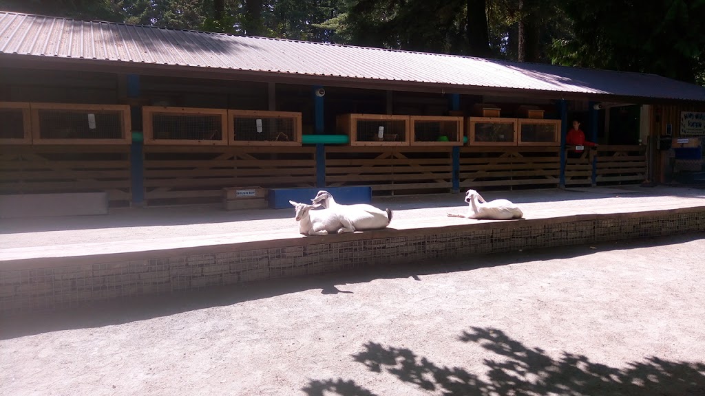 Queens Park petting farm | Unnamed Road, New Westminster, BC V3L, Canada, Canada | Phone: (604) 777-5111