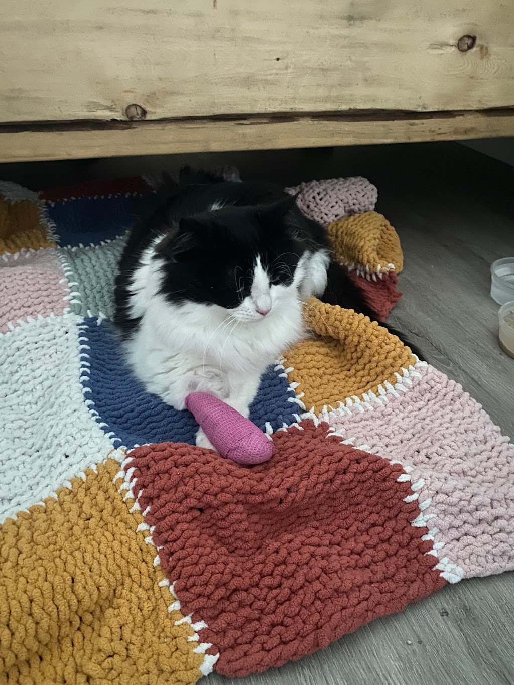 Island Tides Veterinary Hospital | 2435 Mansfield Dr #101, Courtenay, BC V9N 2M2, Canada | Phone: (778) 647-4884