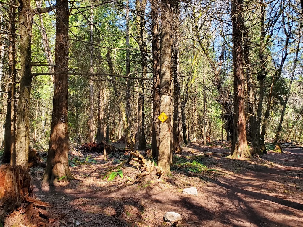 Enchanted Forest Trail | 2050 Benson Rd, Point Roberts, WA 98281, USA