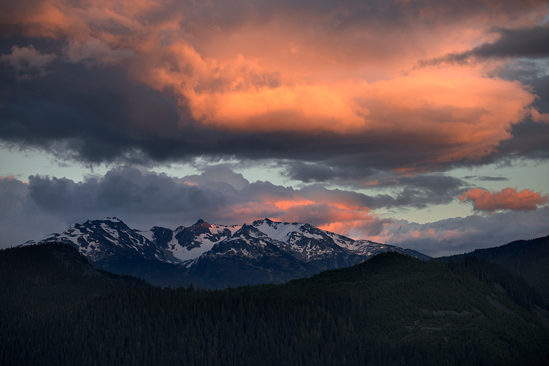 Whistler Bear Tours | 2230 Eva Lake Rd, Whistler, BC V8E 0M5, Canada | Phone: (604) 966-7385