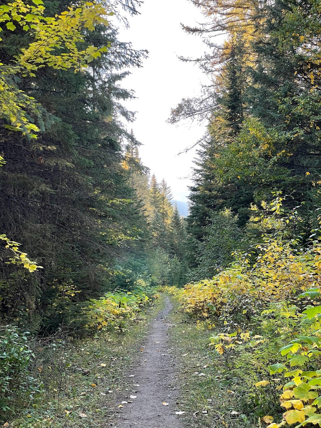 Mount Fernie Provincial Park | Fernie, BC V0B 1M0, Canada | Phone: (800) 689-9025