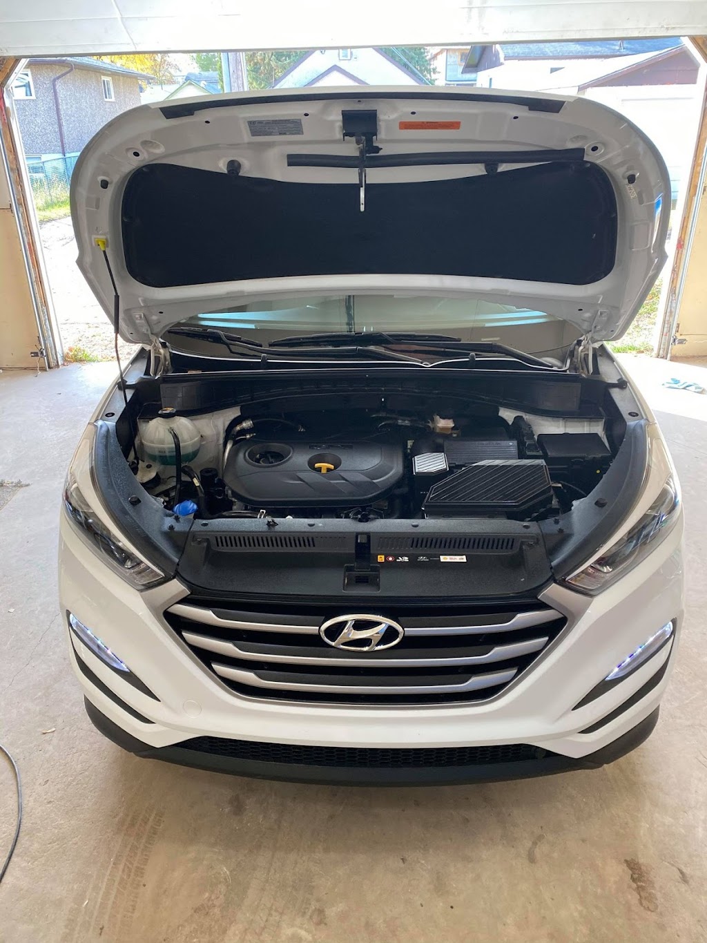 Show and Go Detailing | 891 12 St W, Prince Albert, SK S6V 3C6, Canada | Phone: (306) 961-0320