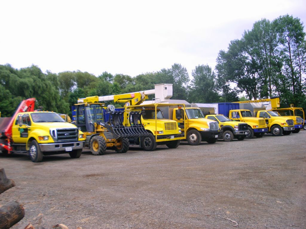 Glenwood Tree Service Inc. | 663 Winston Churchill Blvd, Mississauga, ON L5J 4P9, Canada | Phone: (905) 855-8711