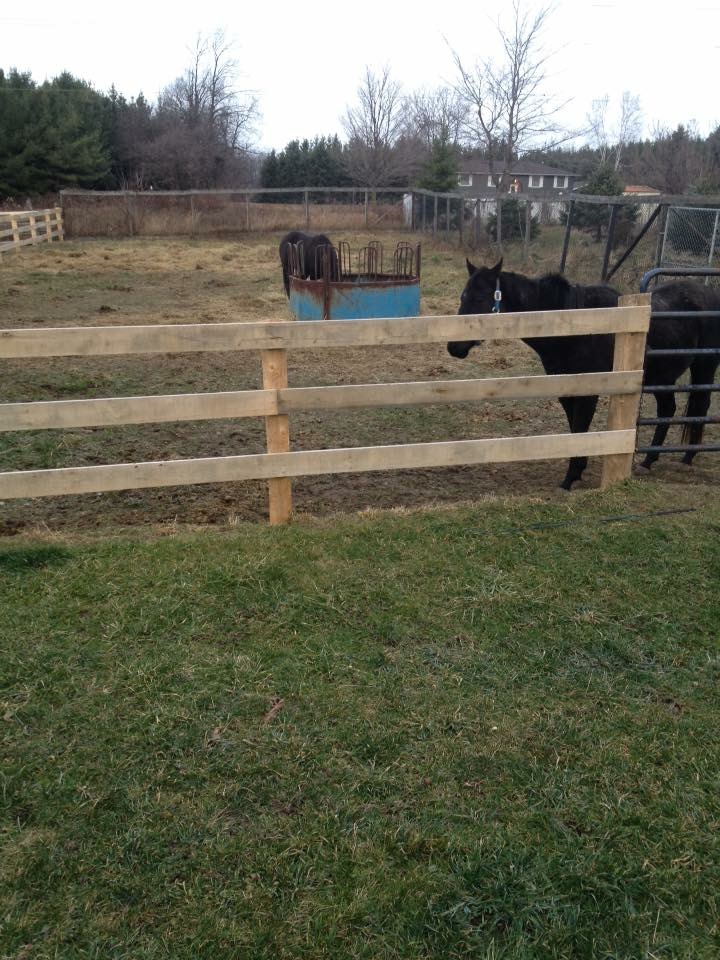 Hillside Acres Ltd | 8863 Wellington Rd 124, Erin, ON N1H 6H7, Canada | Phone: (416) 436-1060