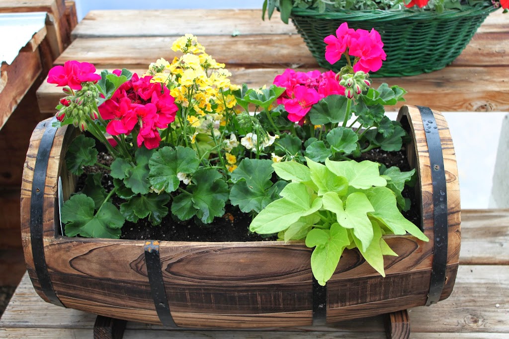 Westway Gardens Greenhouse | 200 Railway Ave, Bittern Lake, AB T0C 0L0, Canada | Phone: (780) 672-6029