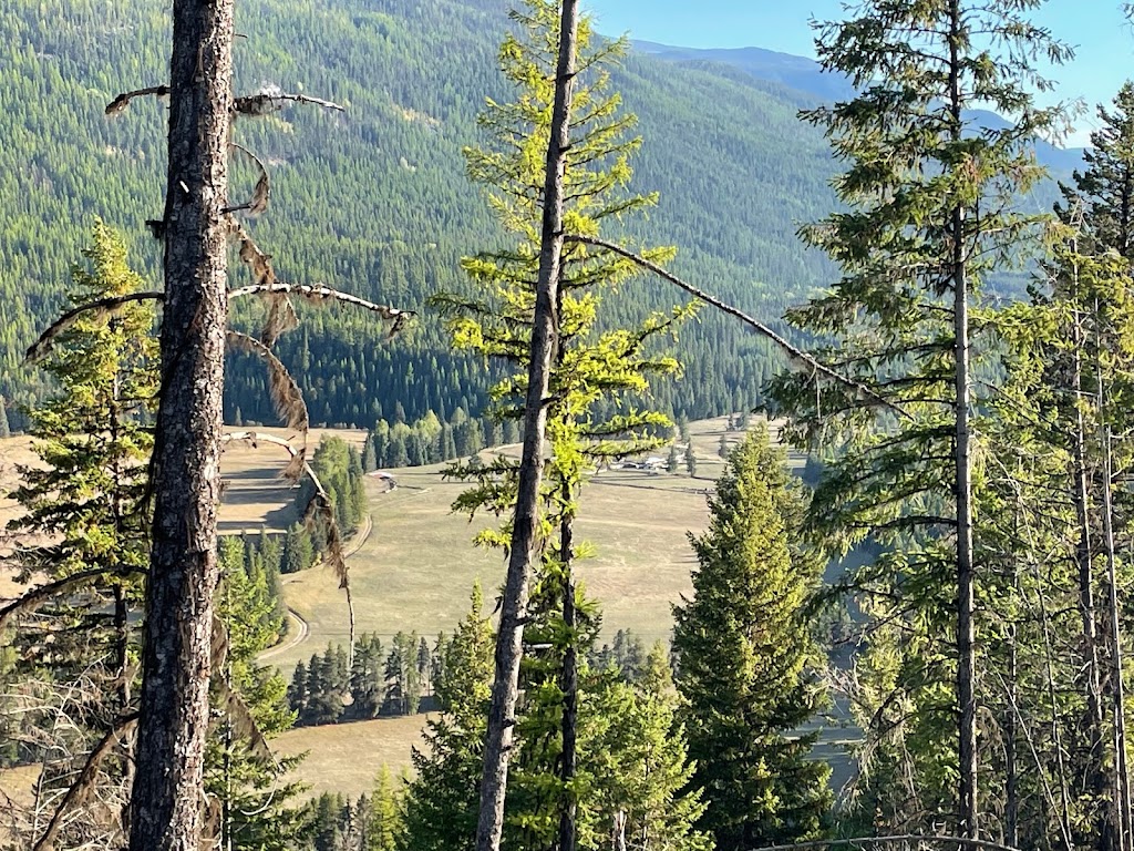 Longview Ranch | RR, Westbridge, BC V0H 2B0, Canada | Phone: (888) 788-7841