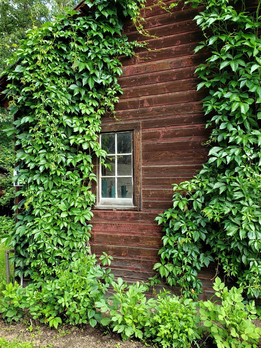 George Pegg Botanic Garden | 56015 Range Rd 43, Glenevis, AB T0E 0X0, Canada | Phone: (780) 203-0331