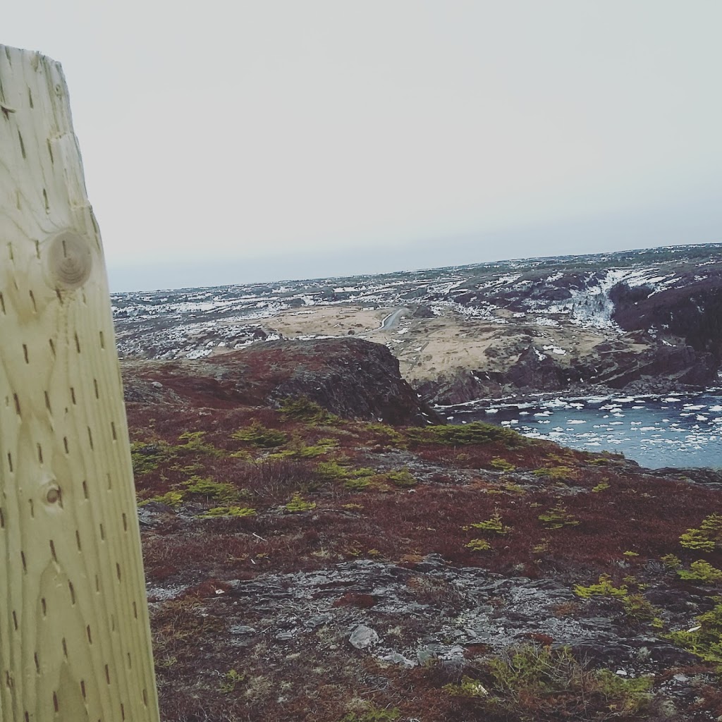East West Exp Moving & Stge | 588 Main Rd, Pouch Cove, NL A0A 3L0, Canada | Phone: (709) 335-2485