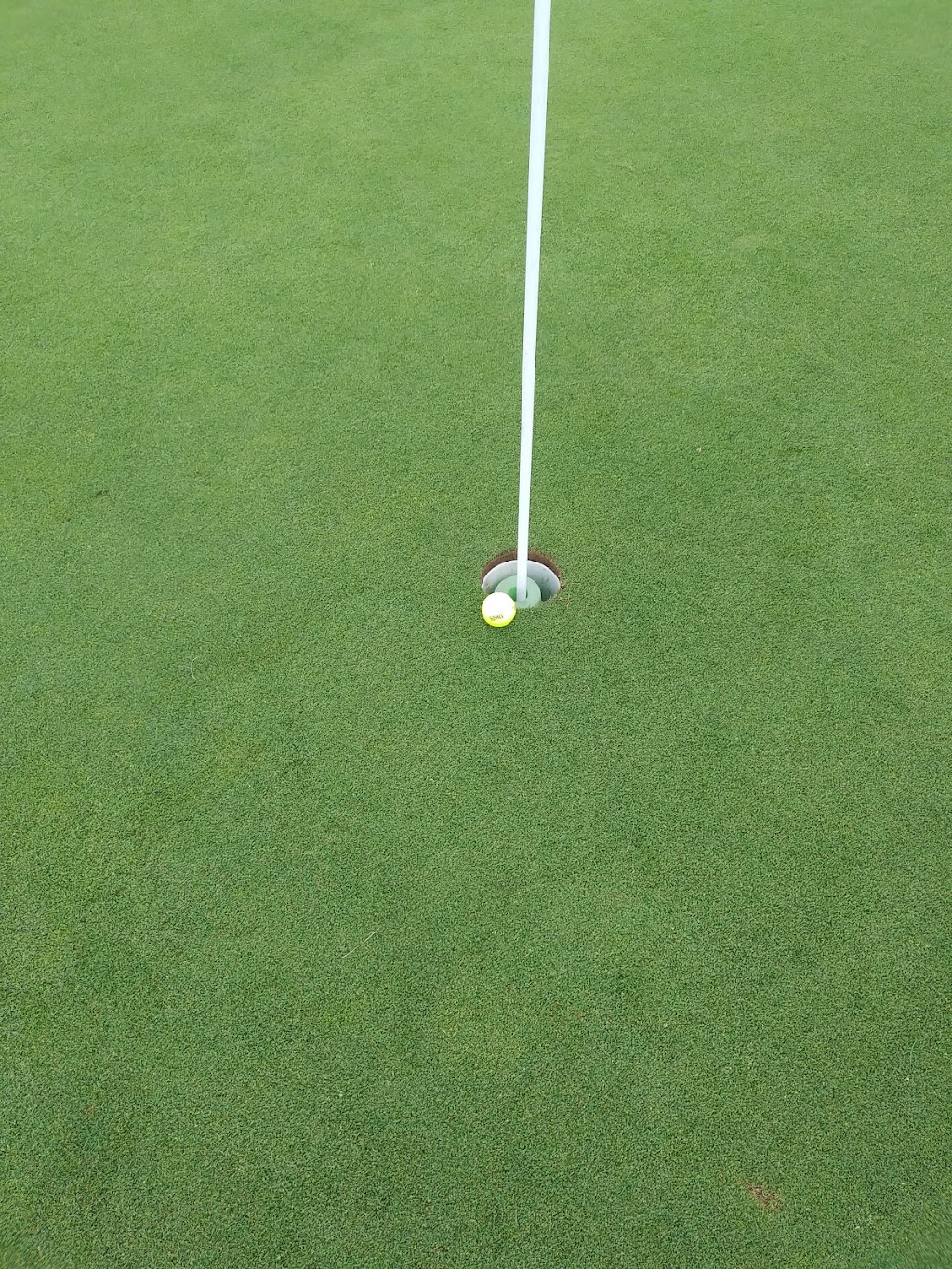 Pineland Greens Golf Club | 722 Safari Rd, Millgrove, ON L8B 1S8, Canada | Phone: (905) 659-1271