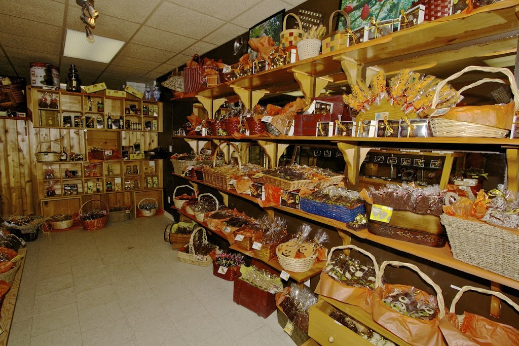 Stayner Pet Ctr | 7272 ON-26, Stayner, ON L0M 1S0, Canada | Phone: (705) 428-6668