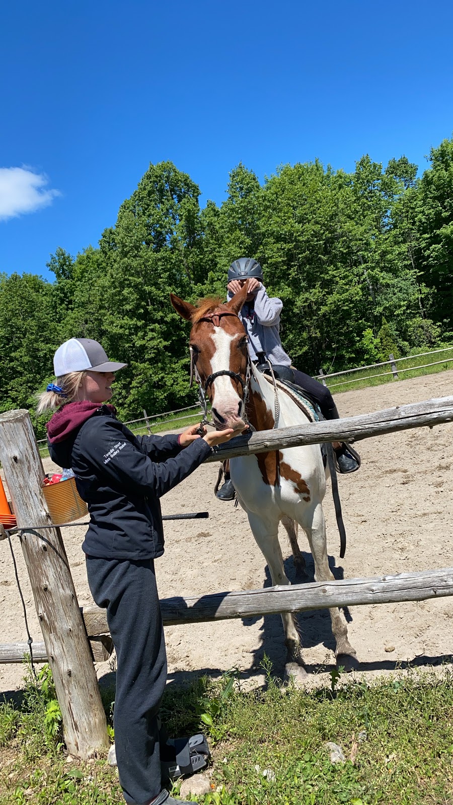 Pine Grove Farms | 315 Pine Grove Rd, Castleton, ON K0K 1M0, Canada | Phone: (905) 376-0829