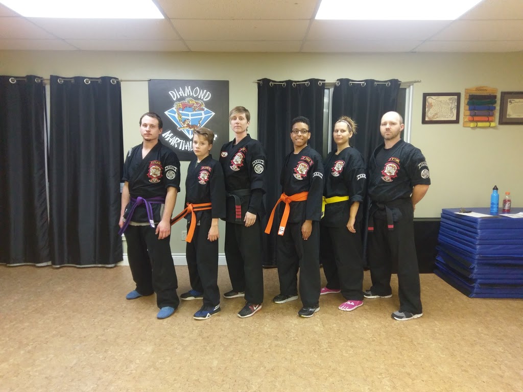 Diamond Martial Arts | 1733 Industrial Rd, Cambridge, ON N3H 5G7, Canada | Phone: (519) 897-0832
