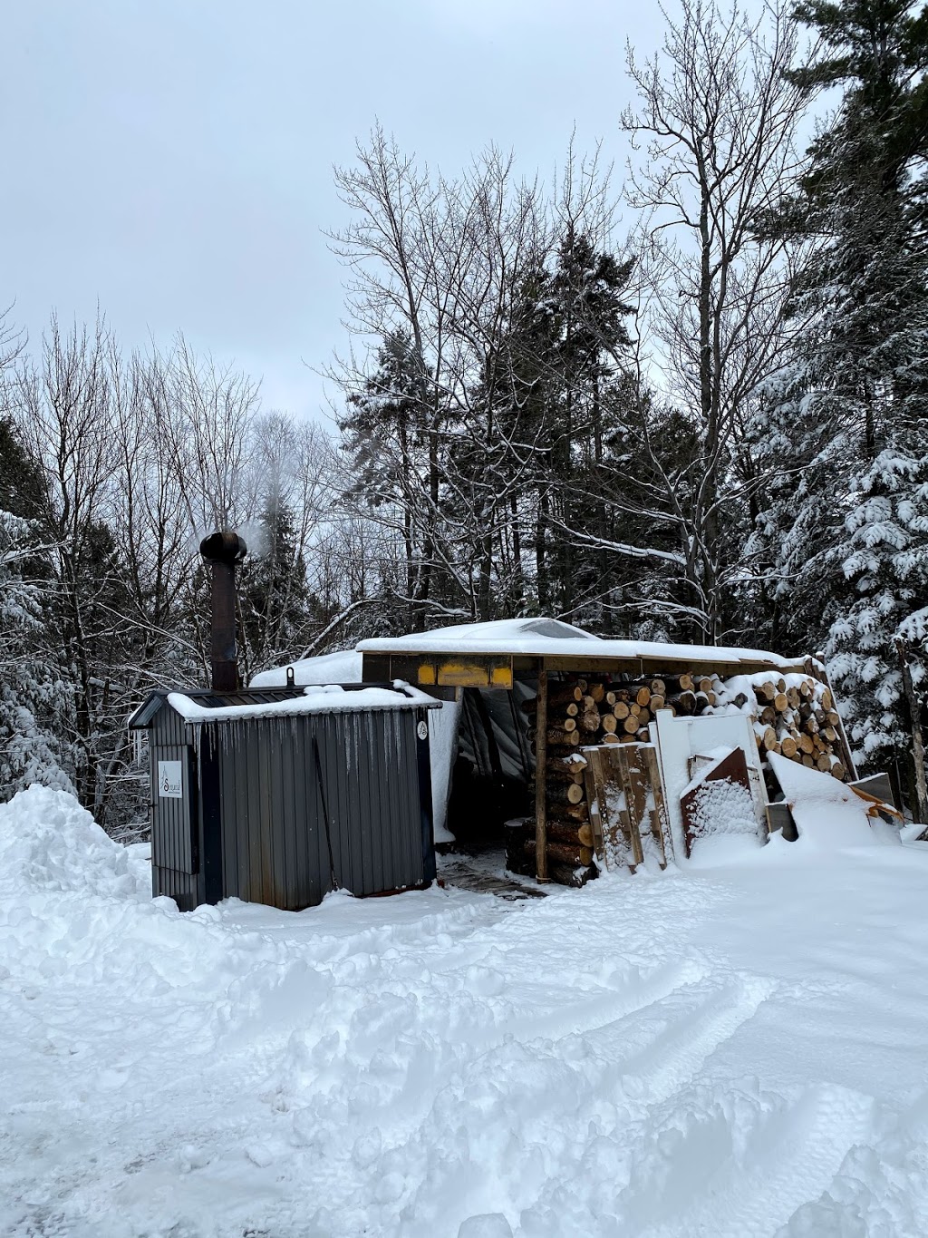 DOMAINE 360 | 1950 Rue de la Montagne, Saint-Denis-de-Brompton, QC J0B 2P0, Canada | Phone: (819) 674-4848