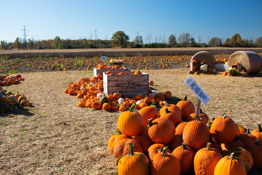 Howes Farm Market & Country Bakery | 11143 Highbury Ave S, St Thomas, ON N5P 3T3, Canada | Phone: (226) 244-1737