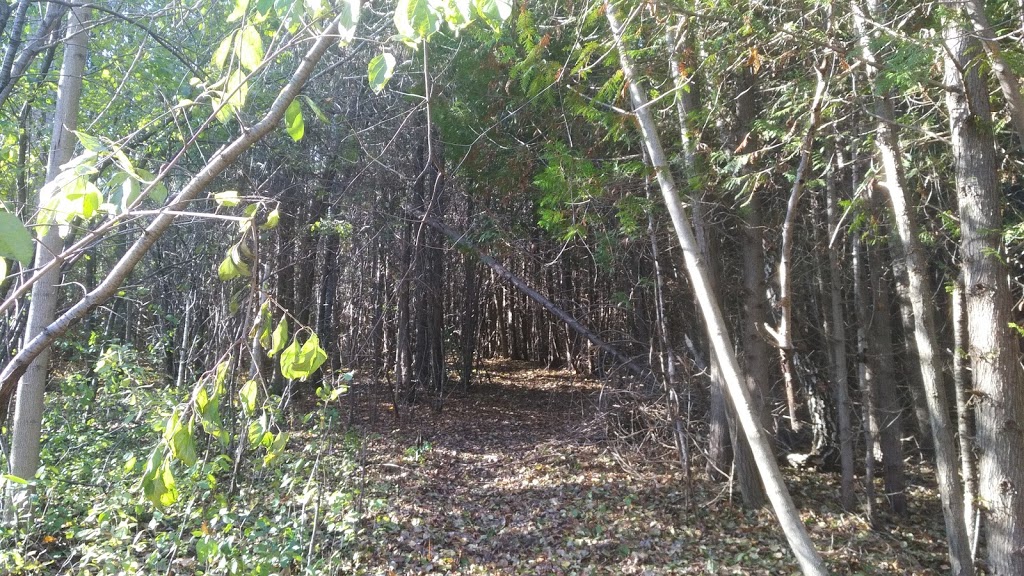 Carter Drive Wooded Area | Grange Hill East, Guelph, ON N1E 1Y1, Canada