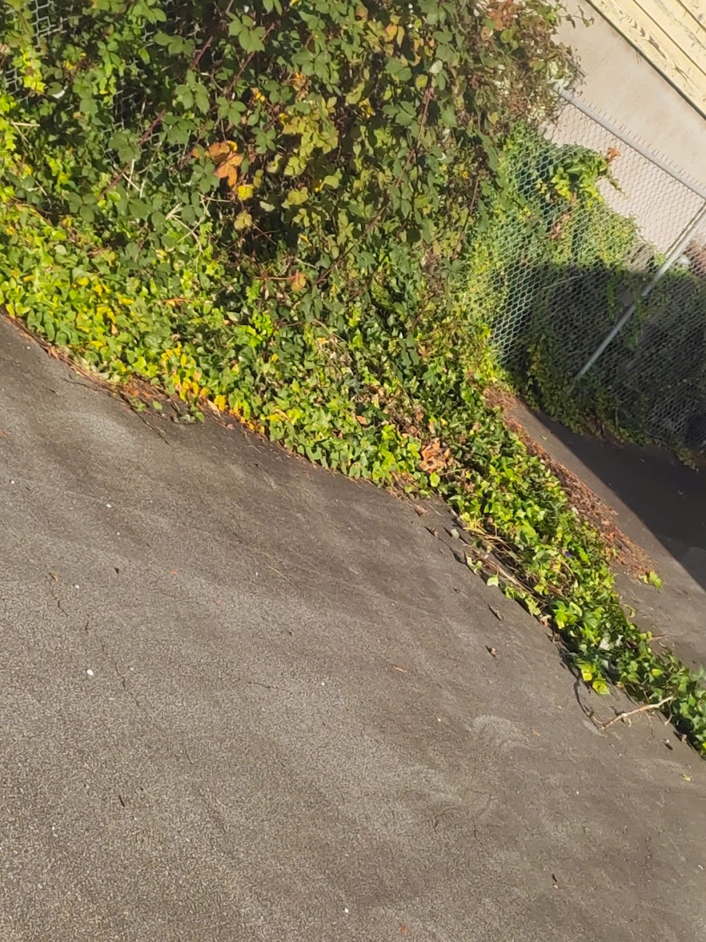 3Sixty Clean Up | 31039 Southern Dr, Abbotsford, BC V2T 5K3, Canada | Phone: (778) 982-8211