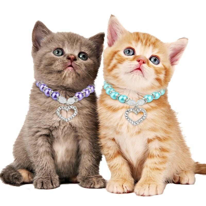 Pet Pearls | 3 Bengal Ct, North York, ON M3L 1X8, Canada