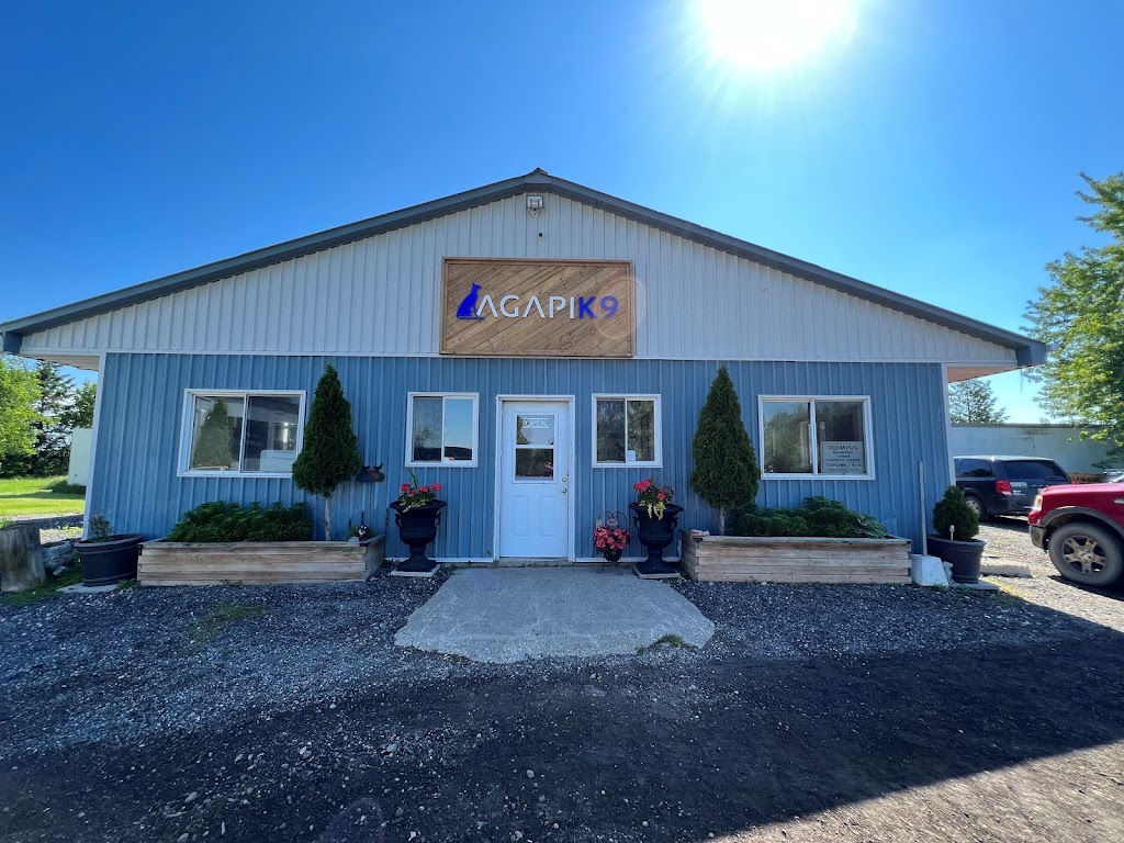 AgapiK9 | 374127 6 Line, Amaranth, ON L9W 0M6, Canada | Phone: (519) 942-1508