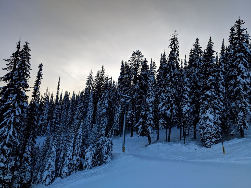 Silver Woods Express | North Okanagan C, BC V1B 3W9, Canada