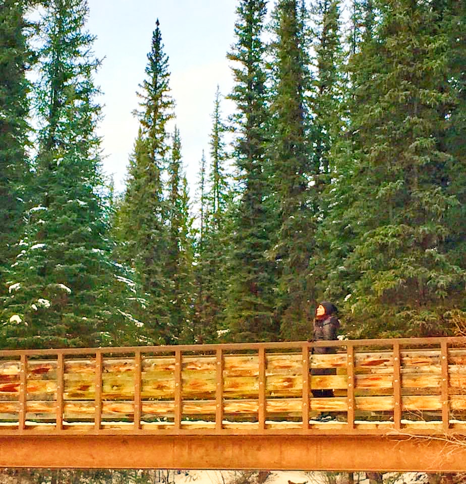 Crescent Falls Provincial Recreation Area | Clearwater County, AB T0M 2H0, Canada | Phone: (855) 721-3975