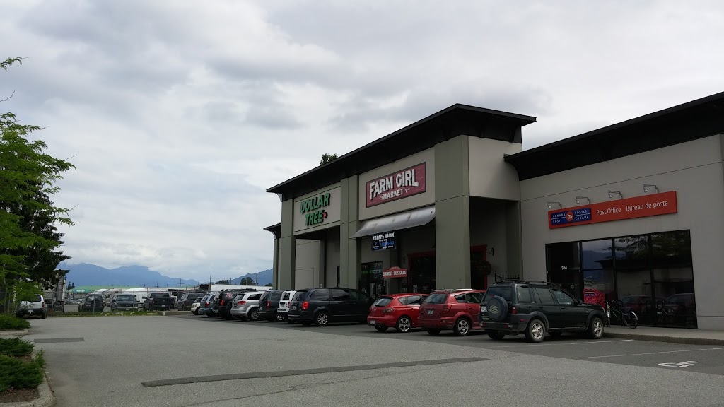 Dollar Tree | 301-7592 Vedder Rd, Chilliwack, BC V2R 5V9, Canada | Phone: (604) 824-2878