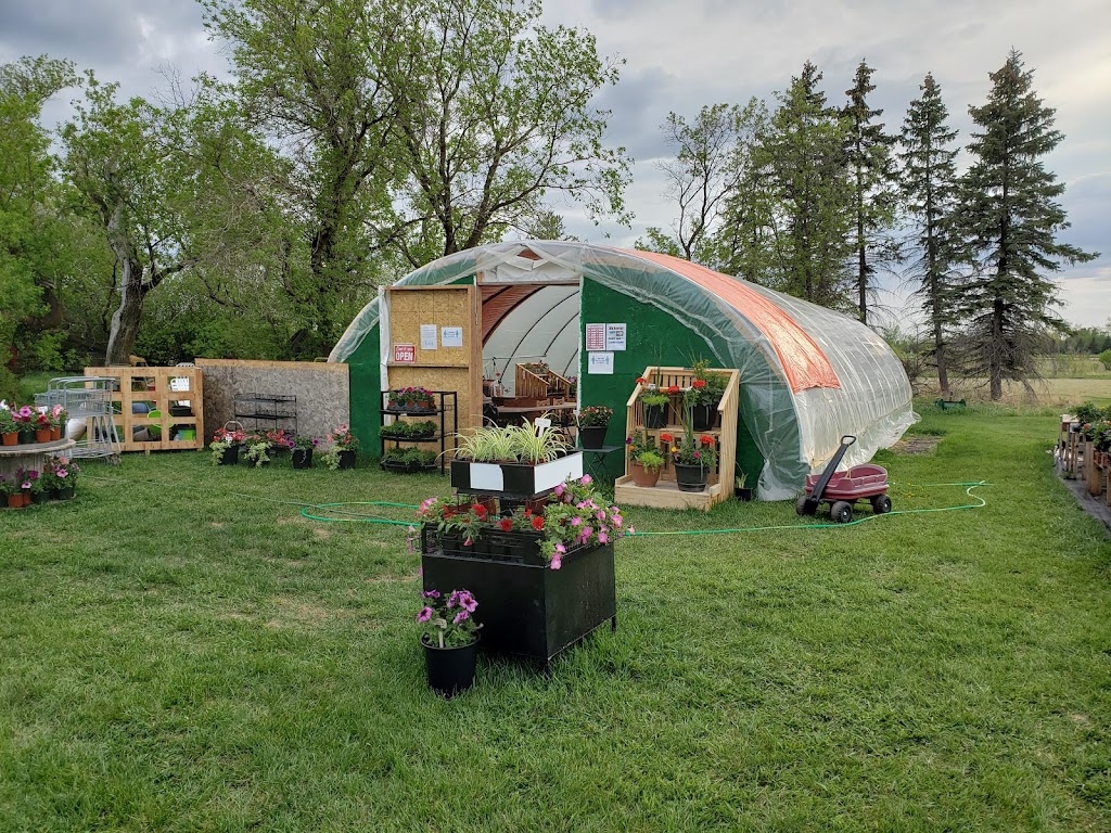 Oakbank Garden Market | 26016 Springfield Rd, Oakbank, MB R5N 0A8, Canada | Phone: (204) 444-4780