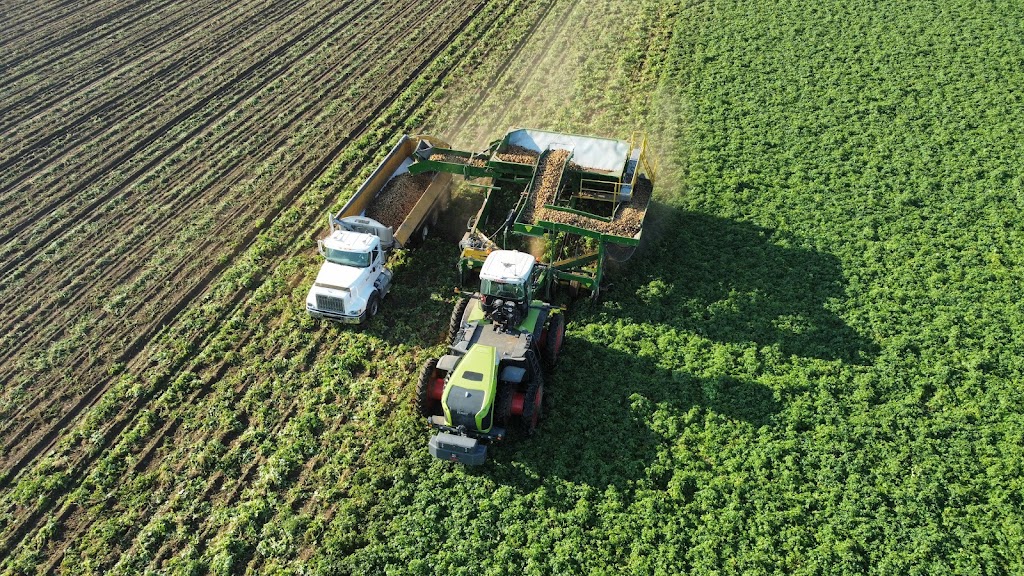 Windiana Farms Ltd | 101059, Range Rd 151, Purple Springs, AB T0K 1X0, Canada | Phone: (403) 223-8391