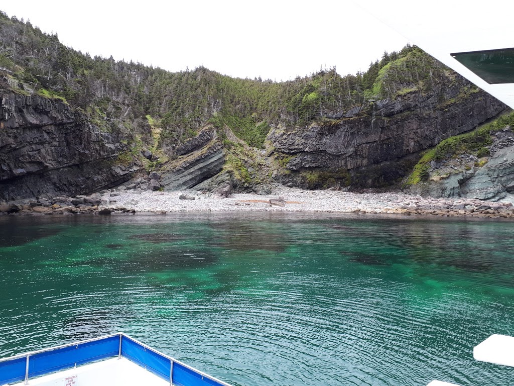 Dee Jay Charters | 140 Harbour Dr, St. Johns, NL A1C 6N6, Canada | Phone: (709) 753-8687