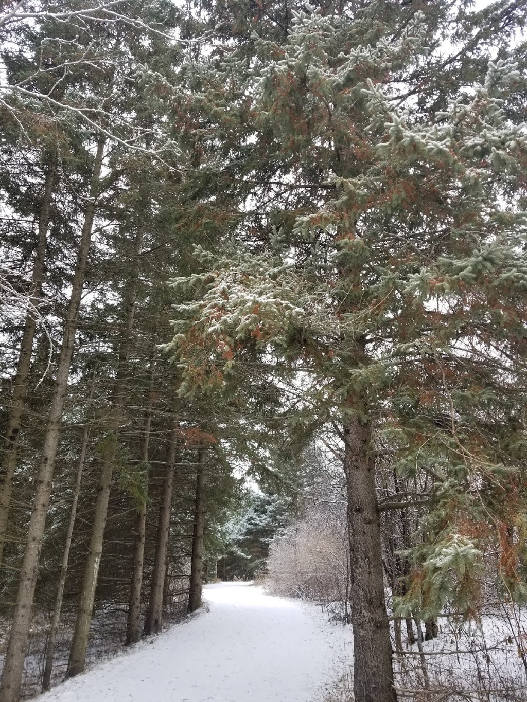 Island Lake Conservation Area | 673067 Hurontario St, Orangeville, ON L9W 2Y9, Canada | Phone: (519) 941-6329