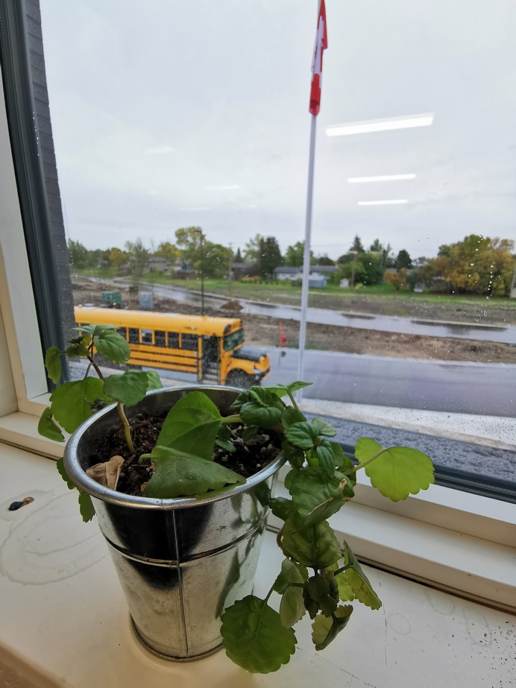 Niverville High School | 401 Centre Street, Niverville, MB R0A 0A1, Canada | Phone: (204) 388-9761