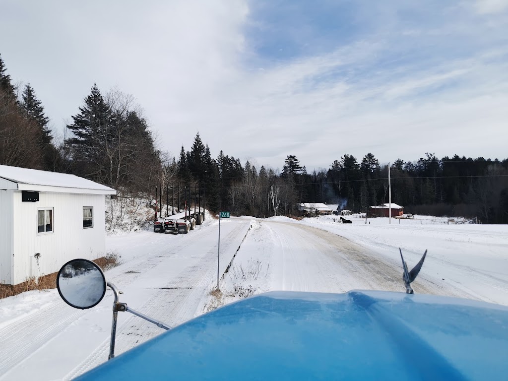 Len Rumleskie and Sons Lumber Co. Ltd. | 268 Rumleski Rd, Barrys Bay, ON K0J 1B0, Canada | Phone: (613) 281-0613