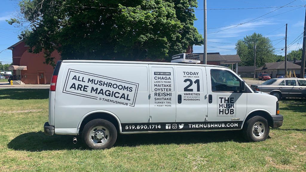 The Magical Mushroom Hub | 879 Walker Rd, Windsor, ON N8Y 2N4, Canada | Phone: (519) 890-1714