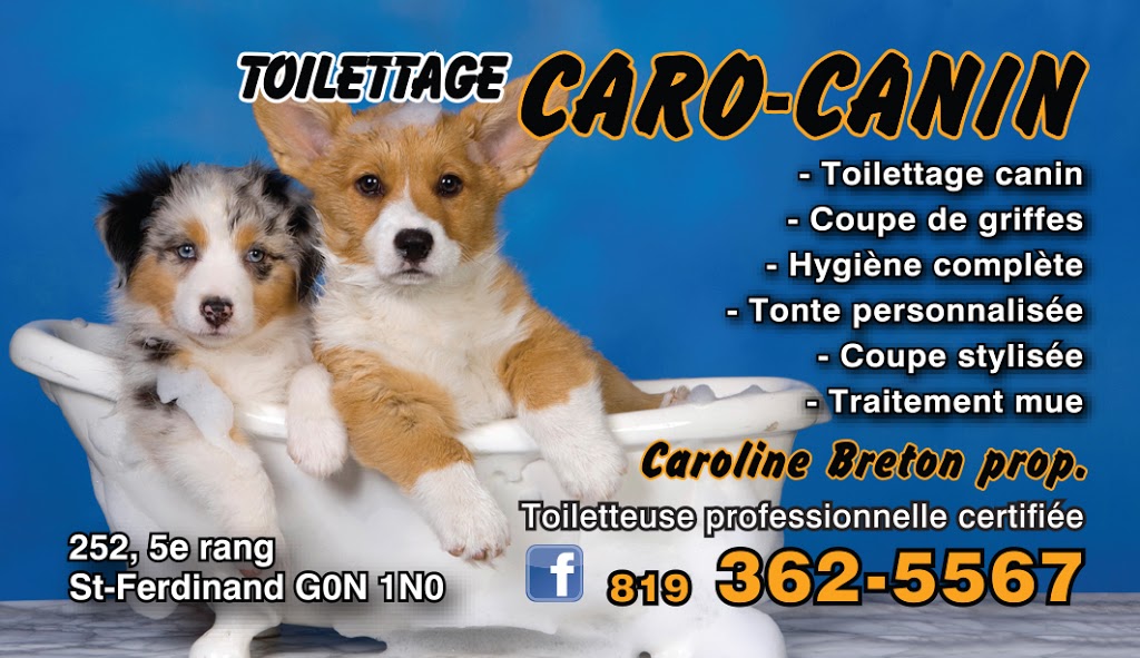 Toilettage Caro-Canin | 252 5e Rang, Saint-Ferdinand, QC G0N 1N0, Canada | Phone: (819) 362-5567