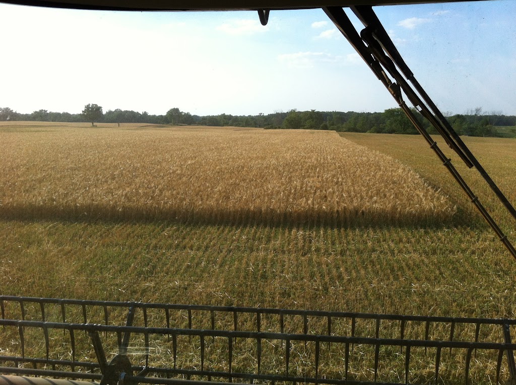 Turnbull Farms | 440 Turnbull Rd, Canfield, ON N0A 1C0, Canada | Phone: (289) 339-7303