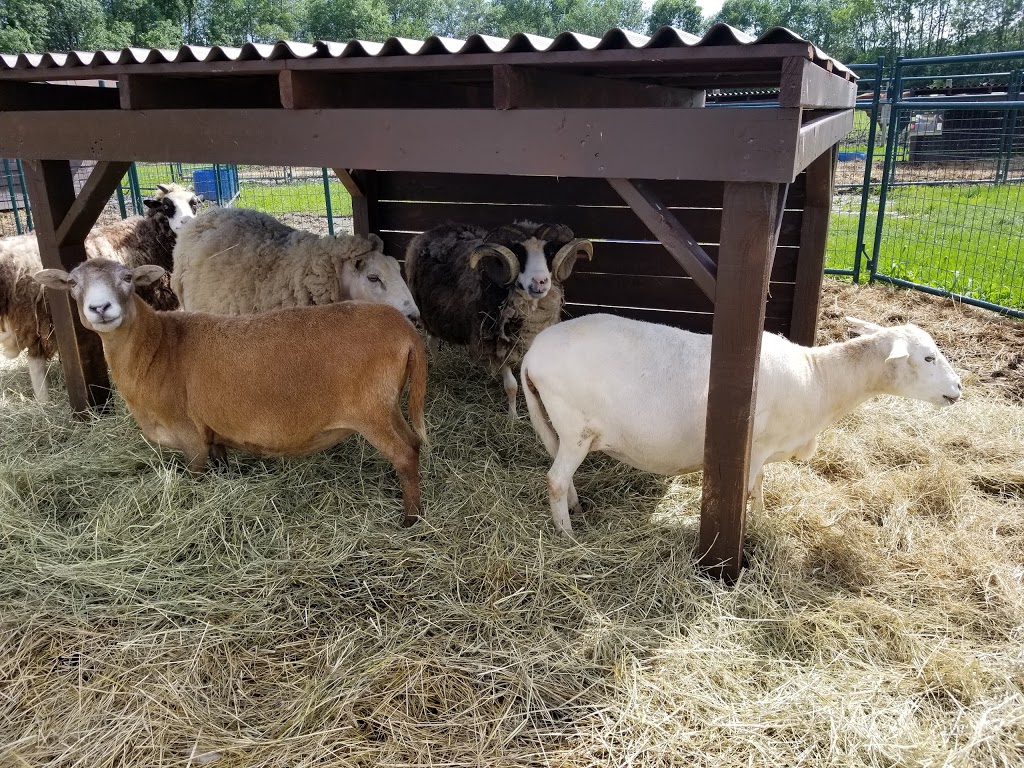 Ferme du Domaine Quinchien | 552 Route de Lotbinière, Vaudreuil-Dorion, QC J7V 0H4, Canada | Phone: (438) 837-9808
