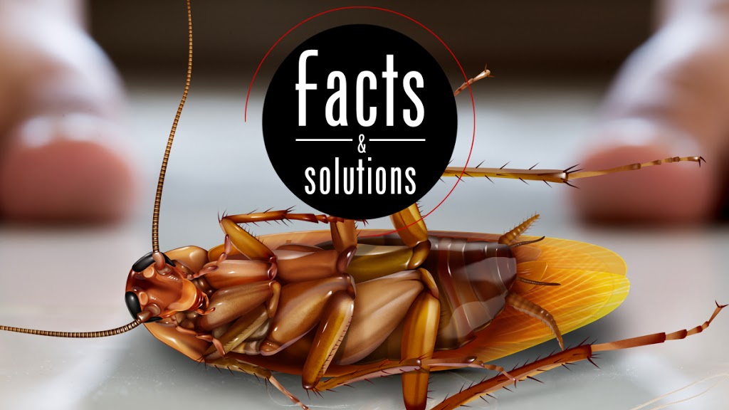 New Westminster | Ants ,Bed Bugs,Rat ,Cockroach,Mice Exterminator| Pestzap | 829 13th St, New Westminster, BC V3M 5Z7, Canada | Phone: (778) 875-4770