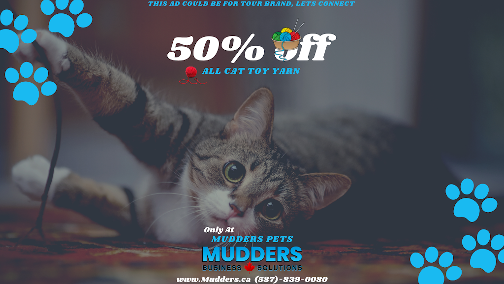 Mudders Business Solutions | 67 Kingsland Pl SE, Airdrie, AB T4A 0C7, Canada | Phone: (587) 839-0080