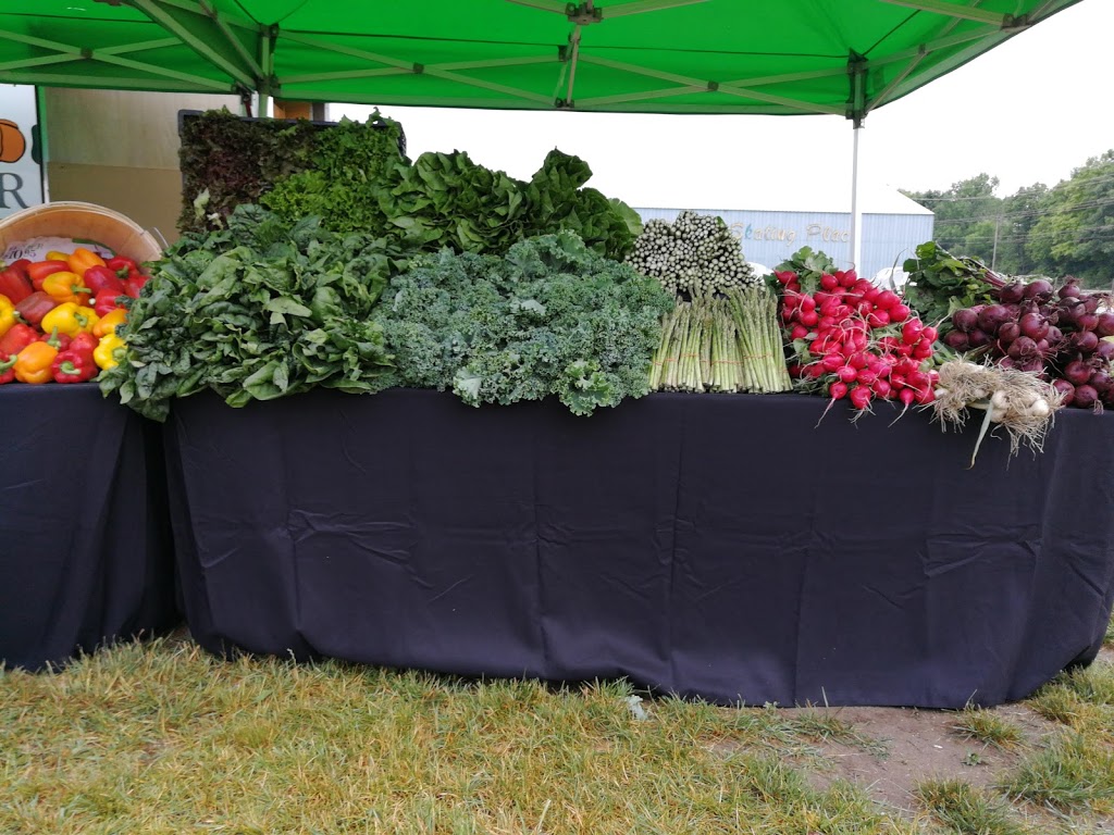 Orillia & District Agricultural Society | 4500 Fairgrounds Rd, Severn, ON L3V 0Y2, Canada | Phone: (705) 325-0353