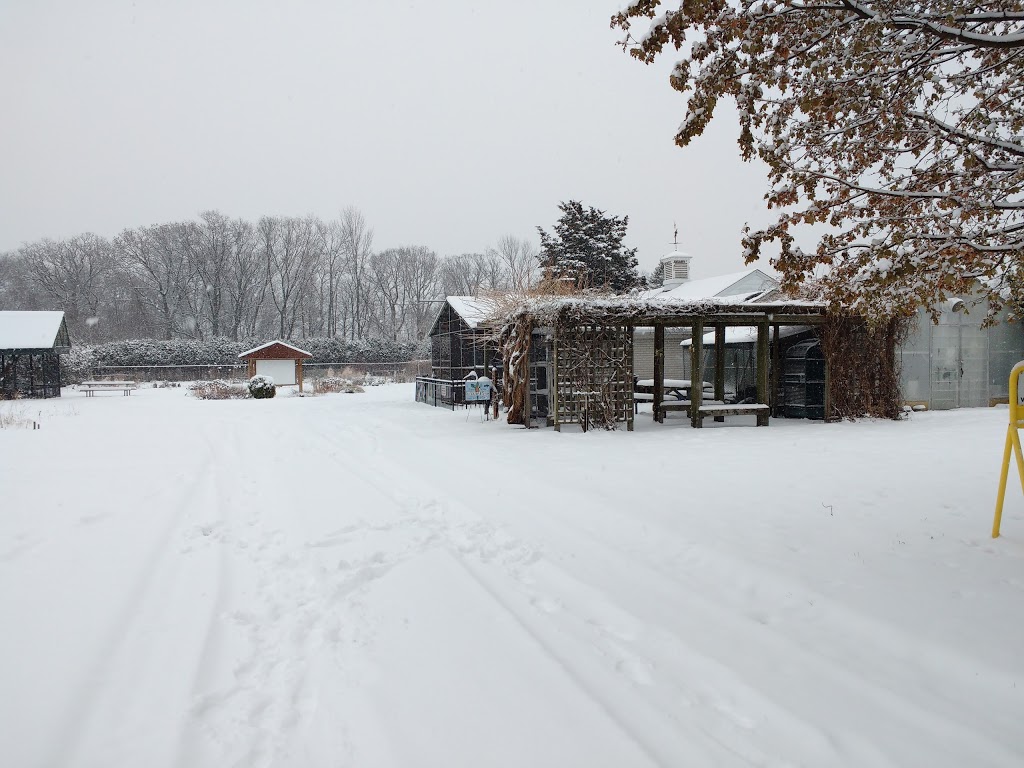 Friends of the Aviary | 85 Oak Knoll Dr, Hamilton, ON L8S 4C2, Canada | Phone: (905) 546-4842